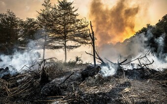 Оценка ущерба после стихийного бедствия в Тюмени: отчет оценщика